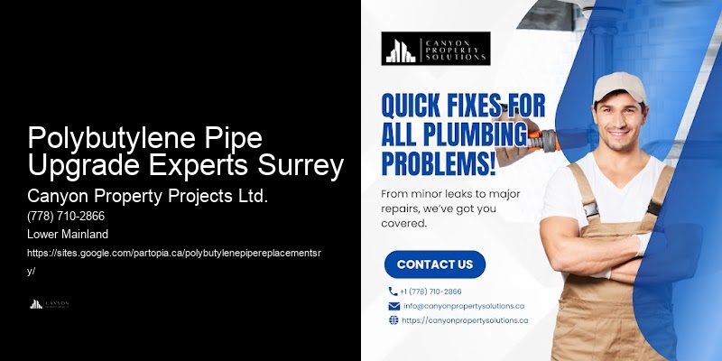 Polybutylene Pipe Upgrade Experts Surrey