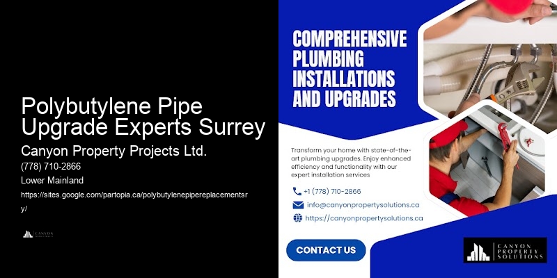 Polybutylene Pipe Upgrade Experts Surrey Polybutylene Replacement for Water Efficiency