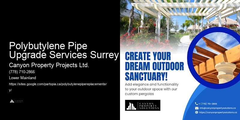 Polybutylene Pipe Replacement Plumbing Inspection Polybutylene Pipe Upgrade Services Surrey