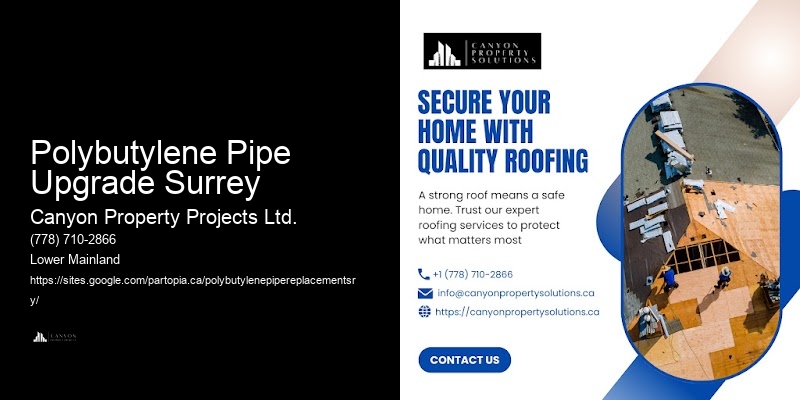 Affordable Polybutylene Pipe Replacement Options Polybutylene Pipe Upgrade Surrey