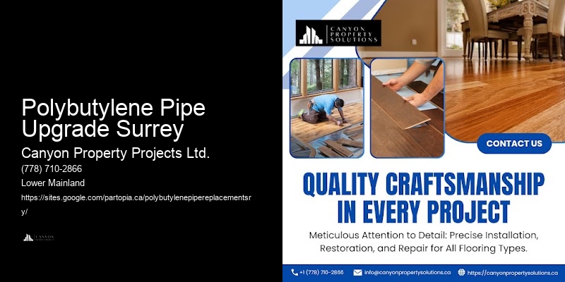Polybutylene Pipe Issue Detection Polybutylene Pipe Upgrade Surrey