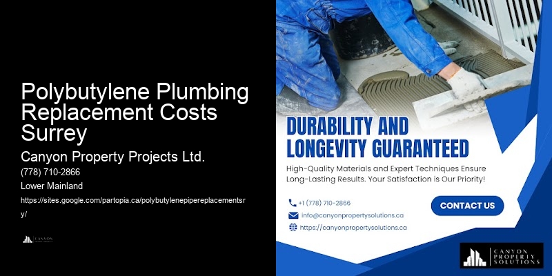 Polybutylene Pipe Reviews Polybutylene Plumbing Replacement Costs Surrey