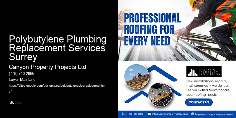 Reputable Polybutylene Replacement Contractors Polybutylene Plumbing Replacement Services Surrey