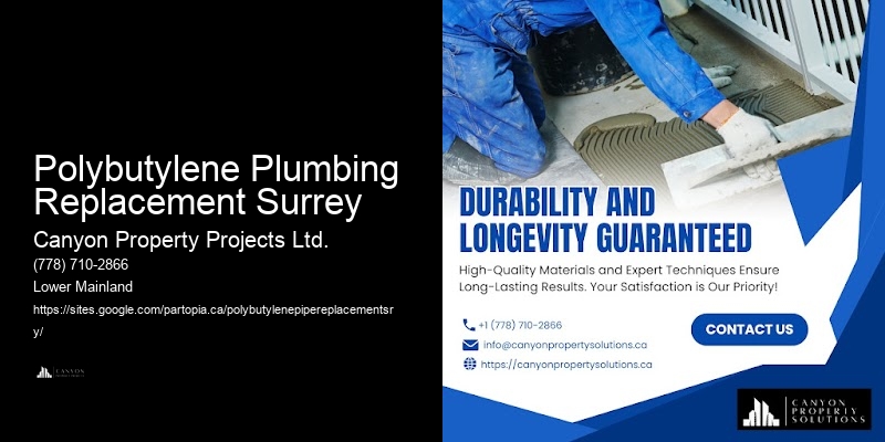 Polybutylene Pipe Replacement for Businesses Polybutylene Plumbing Replacement Surrey