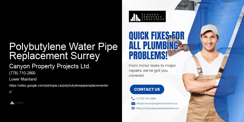 Polybutylene Water Pipe Replacement Surrey