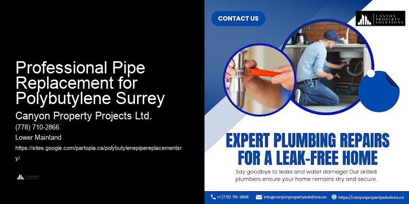 Professional Pipe Replacement for Polybutylene Surrey Polybutylene Plumbing Repair Specialists