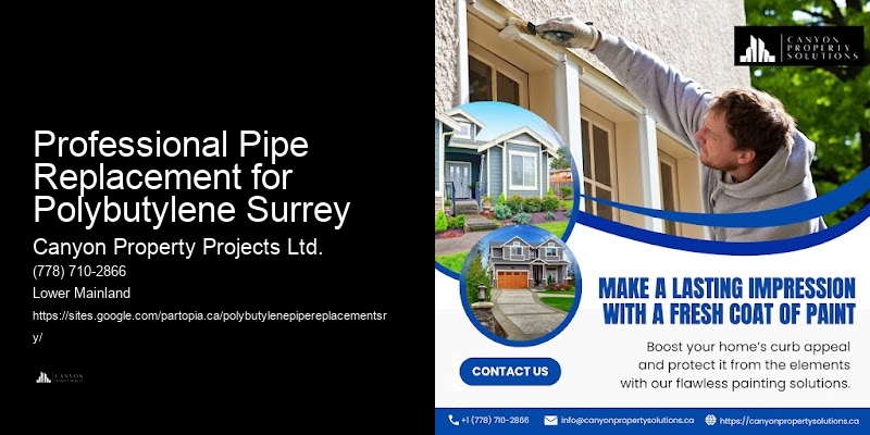Affordable Options for Polybutylene Replacement Professional Pipe Replacement for Polybutylene Surrey