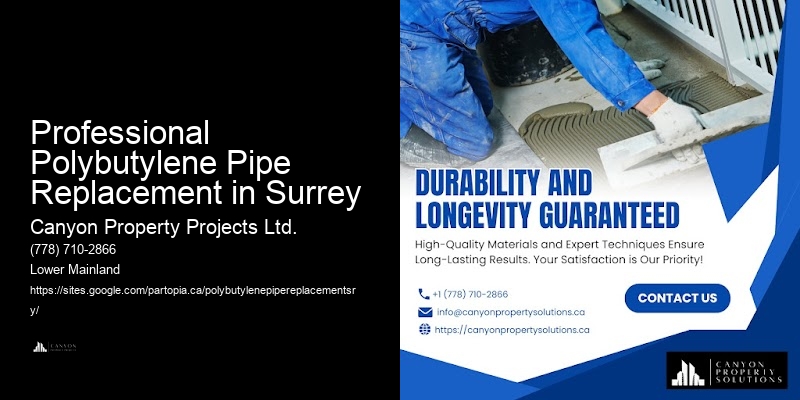 Residential Polybutylene Pipe Upgrades Professional Polybutylene Pipe Replacement in Surrey
