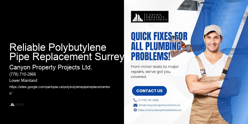 Polybutylene Pipe Upgrade Services Reliable Polybutylene Pipe Replacement Surrey