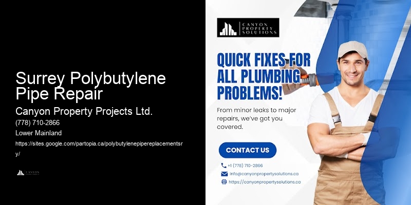 Surrey Polybutylene Pipe Repair