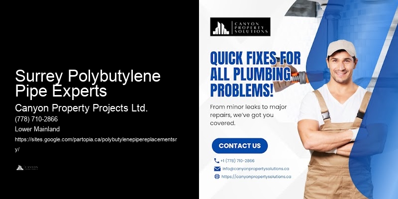 Surrey Polybutylene Pipe Experts