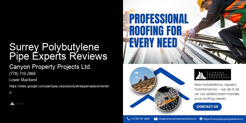 Polybutylene Pipe Replacement Services for Commercial Buildings