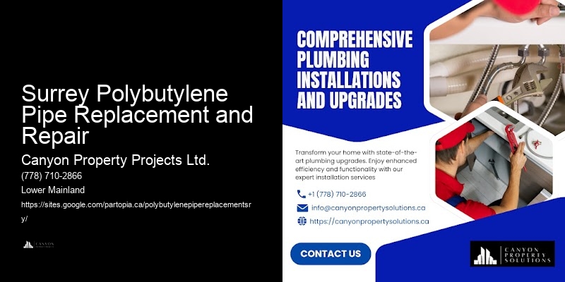 Polybutylene Pipe Problems Surrey Polybutylene Pipe Replacement and Repair
