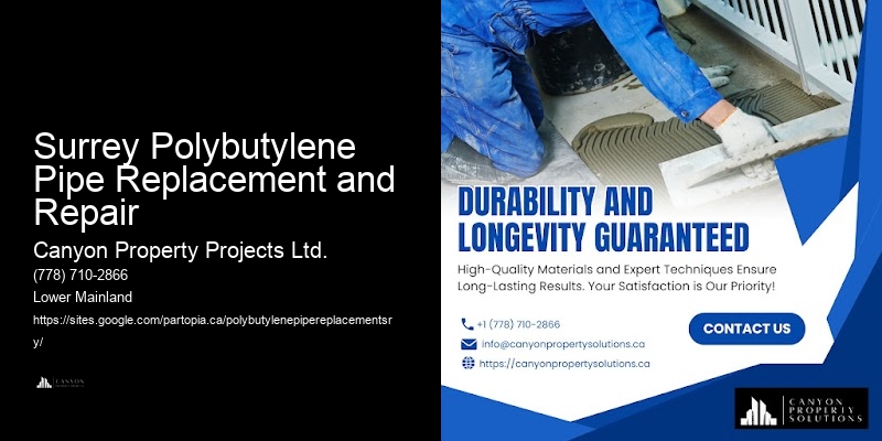 Polybutylene Pipe Replacement Guides Surrey Polybutylene Pipe Replacement and Repair
