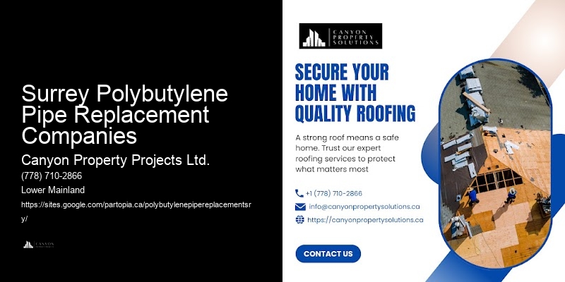 Local Polybutylene Plumbing Experts Surrey Polybutylene Pipe Replacement Companies