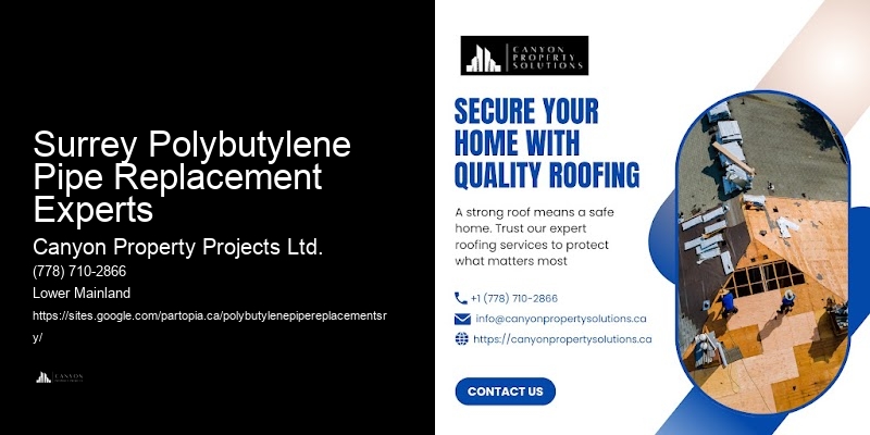 Experienced Polybutylene Pipe Replacement Teams Surrey Polybutylene Pipe Replacement Experts