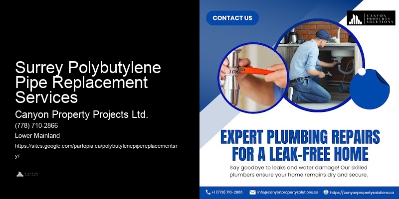 Polybutylene Pipe Management Services Surrey Polybutylene Pipe Replacement Services