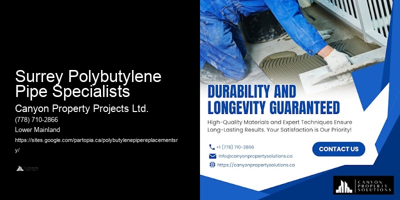 Pipe Leak Detection and Replacement for Polybutylene Surrey Polybutylene Pipe Specialists