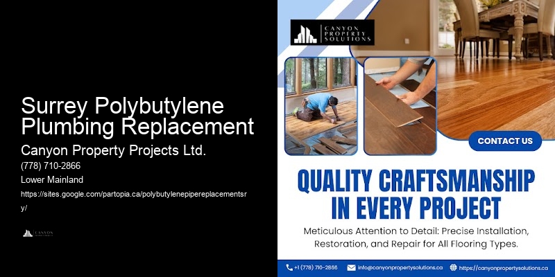 Polybutylene Plumbing for Home Renovations Surrey Polybutylene Plumbing Replacement