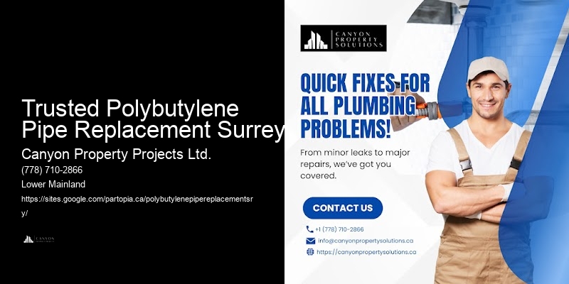 Expert Polybutylene Pipe Leak Services Trusted Polybutylene Pipe Replacement Surrey