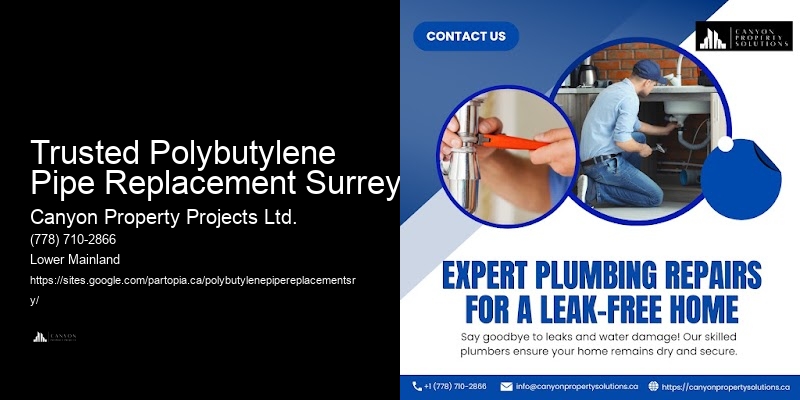 Polybutylene Pipe Leak Repair Near Me Trusted Polybutylene Pipe Replacement Surrey