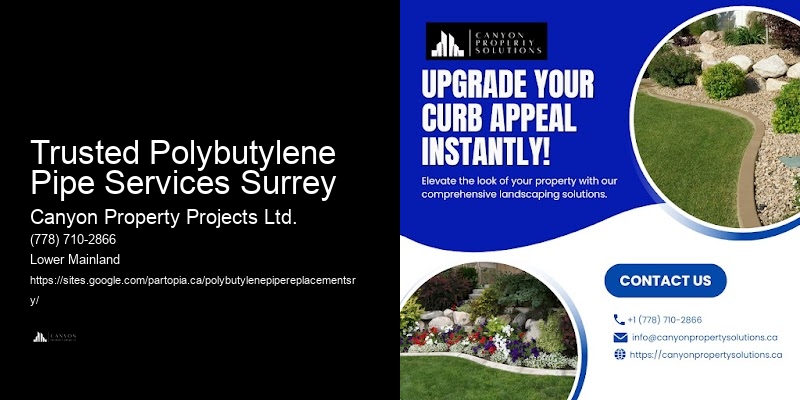 Polybutylene Pipe Replacement and Repair Services in My Area