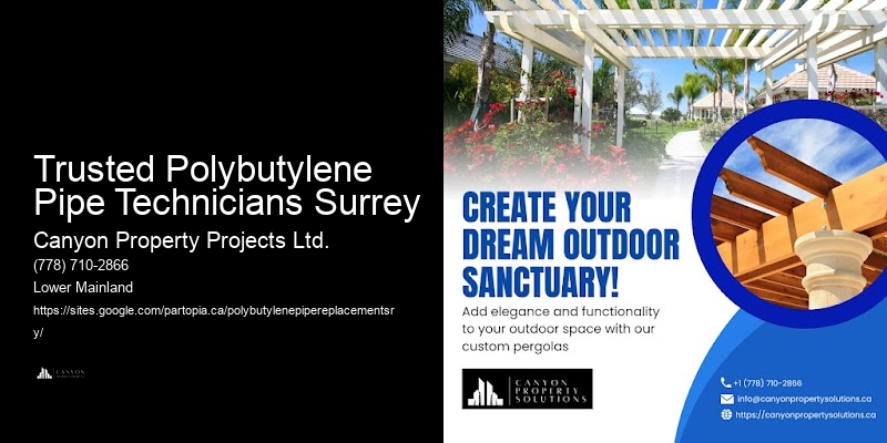 Detailed Polybutylene Replacement Estimates Trusted Polybutylene Pipe Technicians Surrey