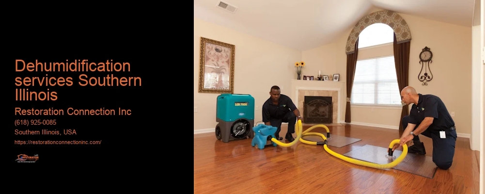 dehumidification services Southern Illinois Restoration Connection Inc dehumidification services Southern Illinois