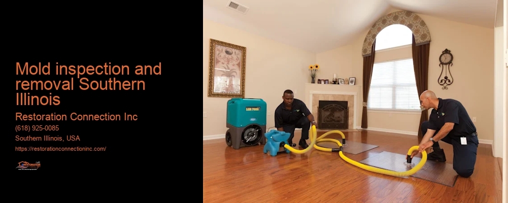 mold inspection and removal Southern Illinois Restoration Connection Inc mold inspection and removal Southern Illinois