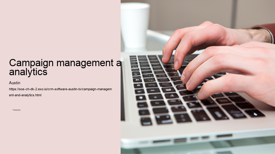 Campaign management and analytics