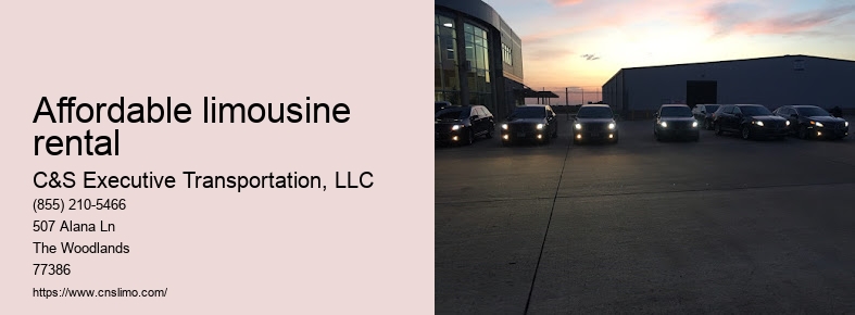 Luxury chauffeur service Houston