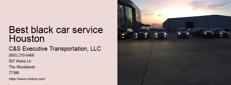 Professional limo service