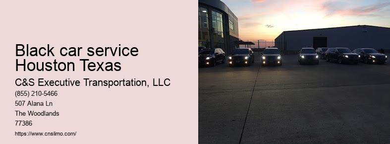 Limousine service in Houston TX