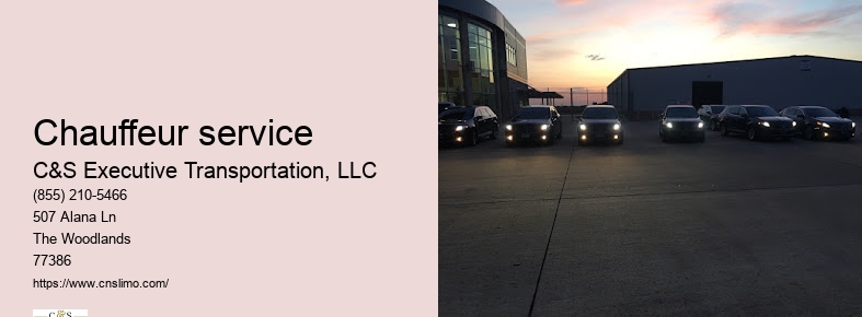 Airport limo service