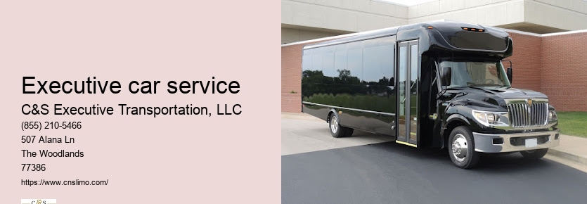 Limousine service in Houston TX