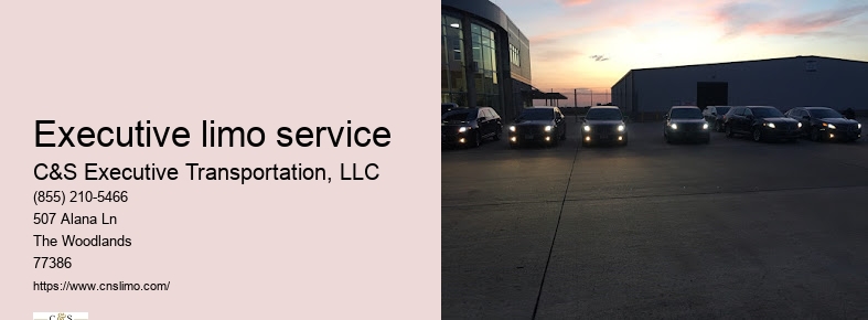 Private black town car service Houston TX