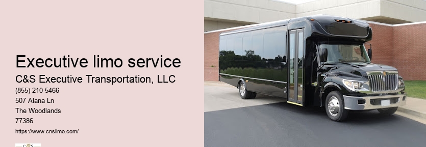 Houston limousine service airport