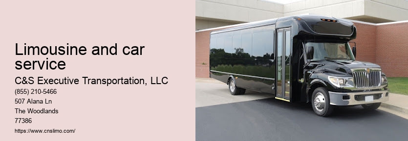 Limo bus rental