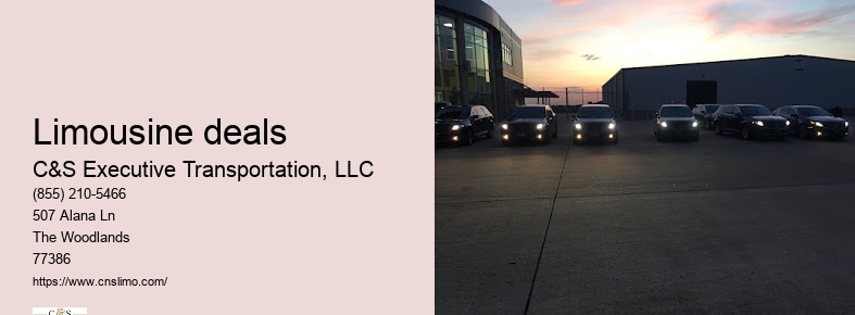 Airport limousine service