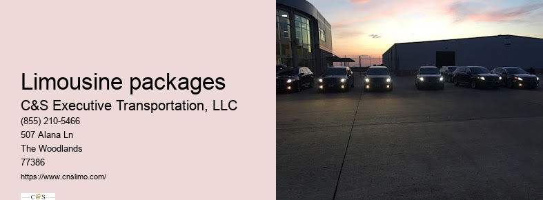 Houston airport limousine service