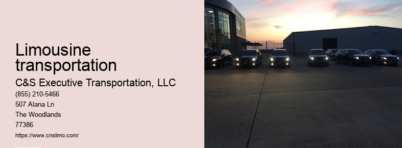 Houston airport taxi and limousine service