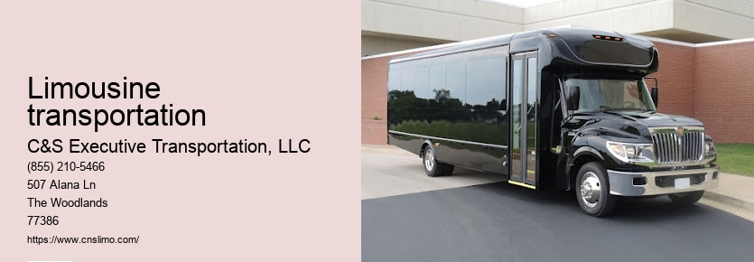 Airport limousine service Houston