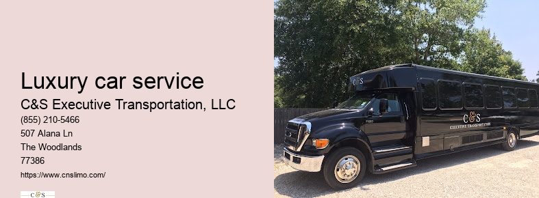 Executive limo service