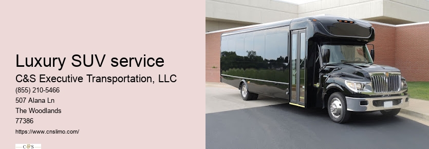 Black car service Houston TX