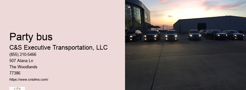 Houston airport limousine service