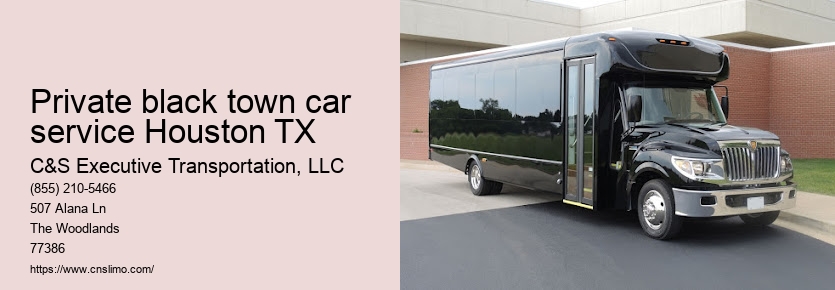 Executive chauffeur service Houston