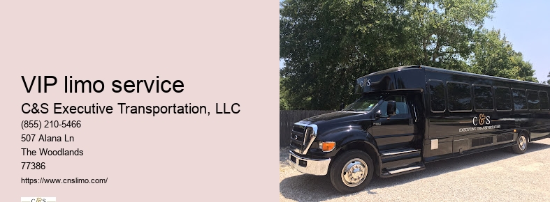 C&S Executive Transportation The Woodlands TX