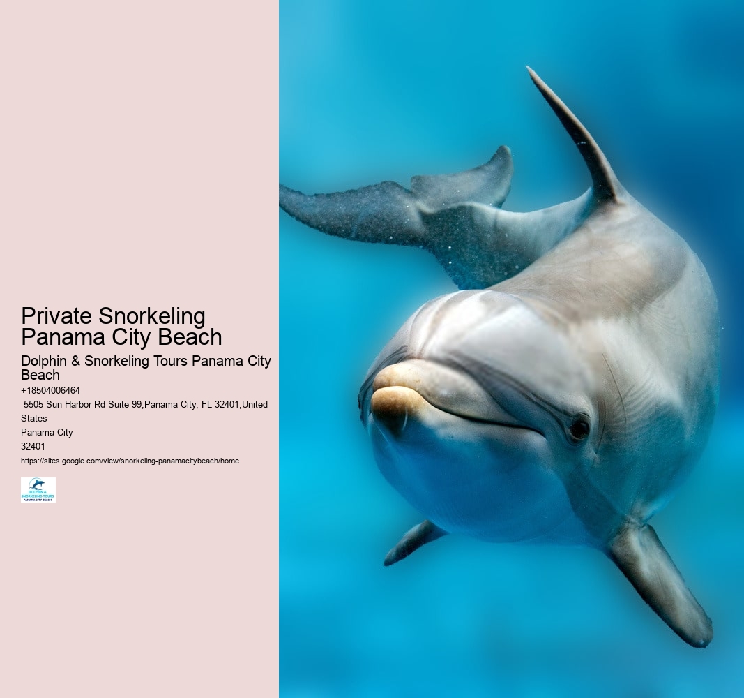 Private Snorkeling Panama City Beach