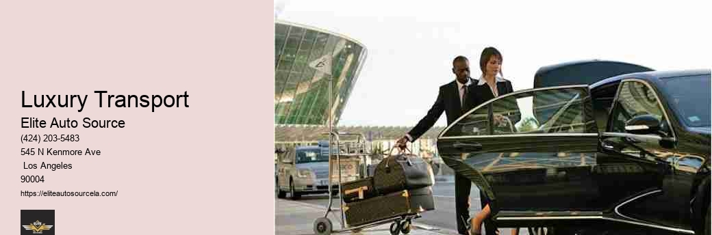 Elite Car Service And Airport Transportation