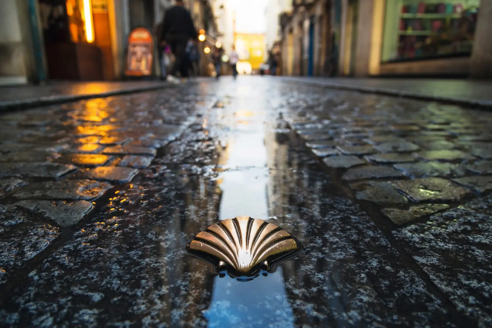 Simbolo del Camino de Santiago immagine